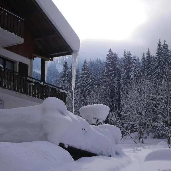 Hôtel la Kinkerne, hotell i Morzine