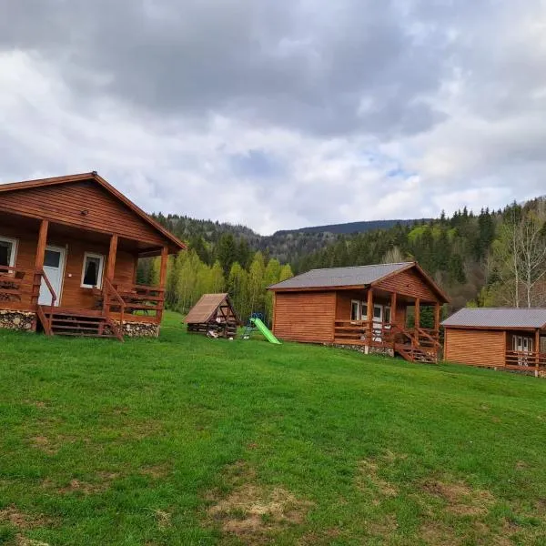 Cabanele Valea Bradului, hôtel à Izvoru Mureşului