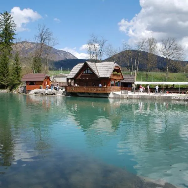 Apartma Mihovc, Hotel in Kamnik