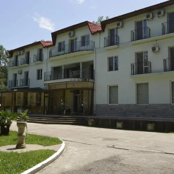 Imeri Park Hotel, hotel in Bagdatʼi