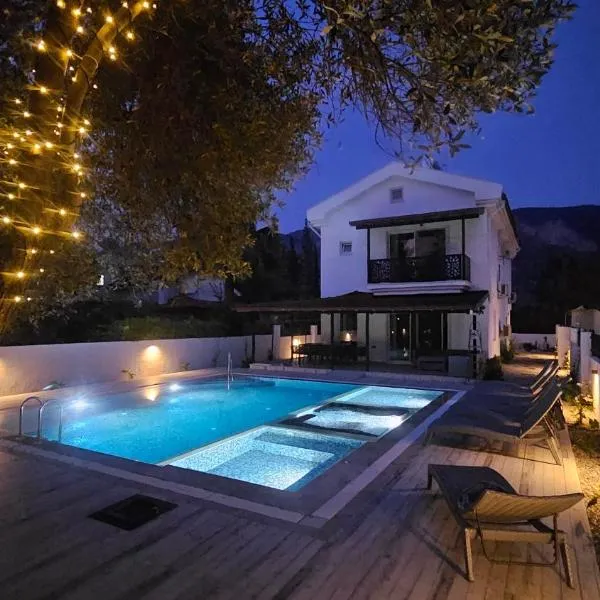 Villa Galaxy, hotel in Dalyan