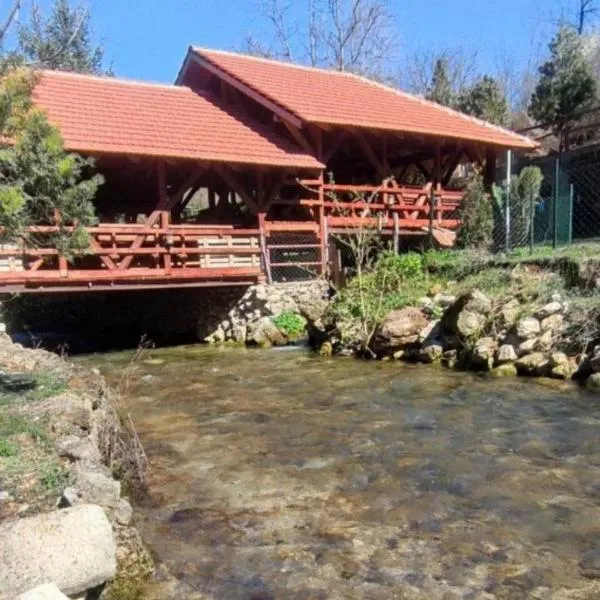 ŽUBOR VRELA, hotel in Mala Ravna Reka