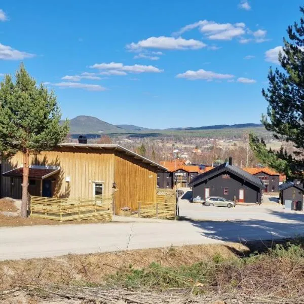 Stuga i Järvsöbacken, hotel in Tallåsen