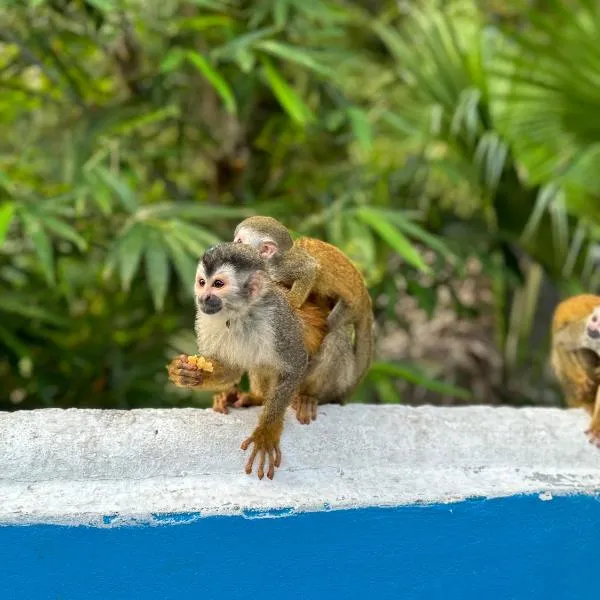 Hospedaje Colibri, ξενοδοχείο στο Manuel Antonio