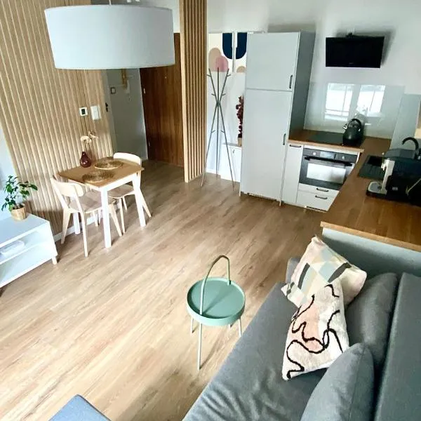 Apartament Centrum z Garażem podziemnym – hotel w Bielsku Białej