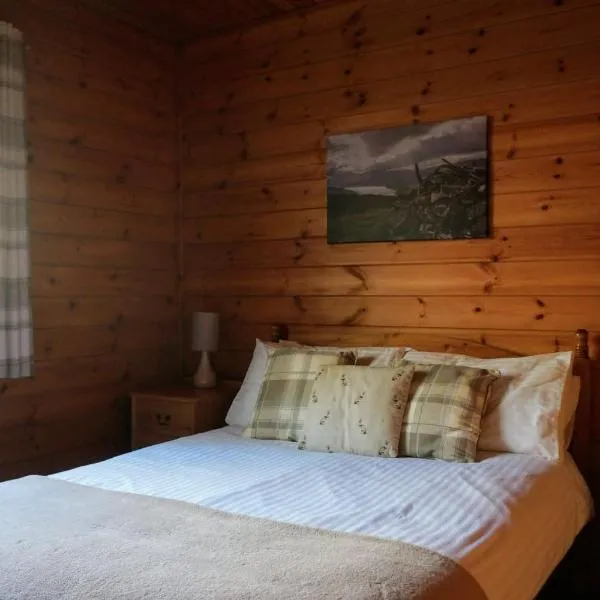 Woodland Hazel Lodge, hotel v destinaci Killin
