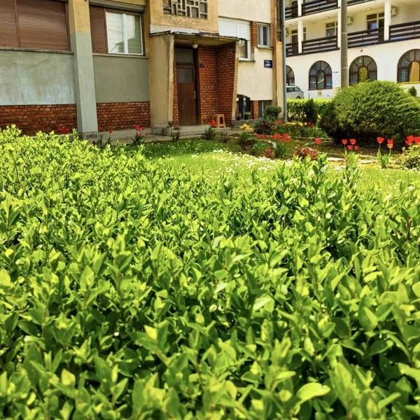 Apartman Mali Raj Rudnik II, ξενοδοχείο σε Rudnik