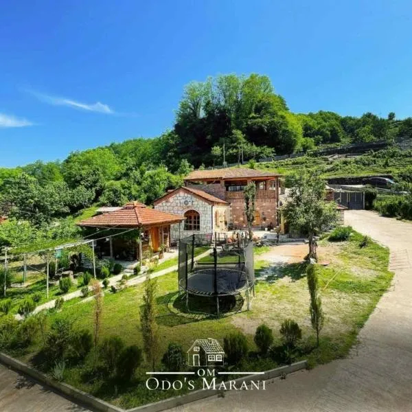 Odo’s Guest House, hotel a Martvili