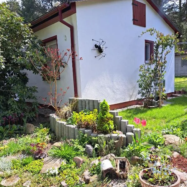 gemütlicher Bungalow am Rand der Dübener Heide, hotel in Zschepplin