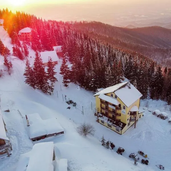 Hotel Muntele Mic, khách sạn ở Borlova