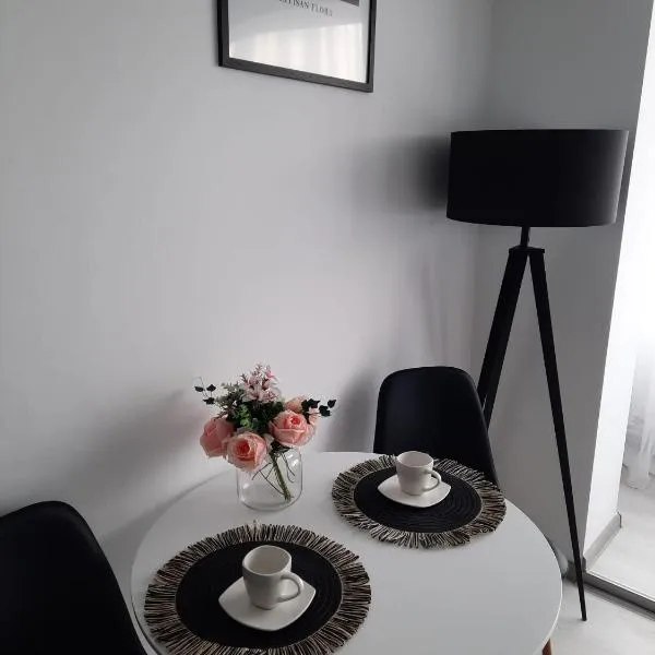 Studio ANA, hotel in Făgăraş