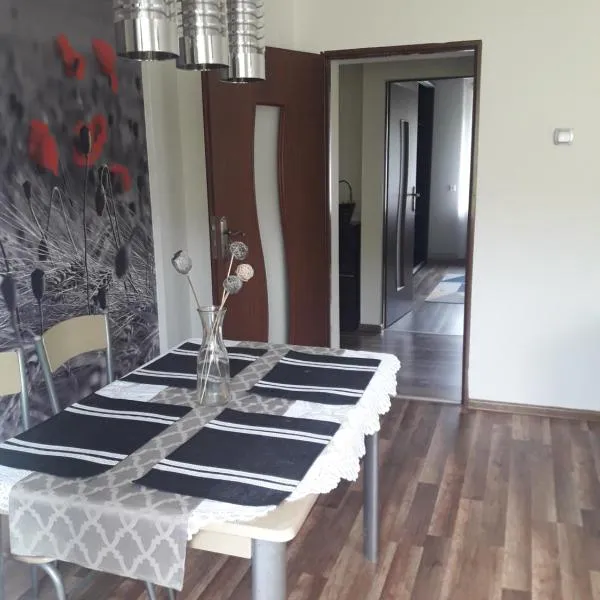 Apartament u Dany Las wita Was w otoczeniu gór i dzikiej przyrody, hotel in Golińsk