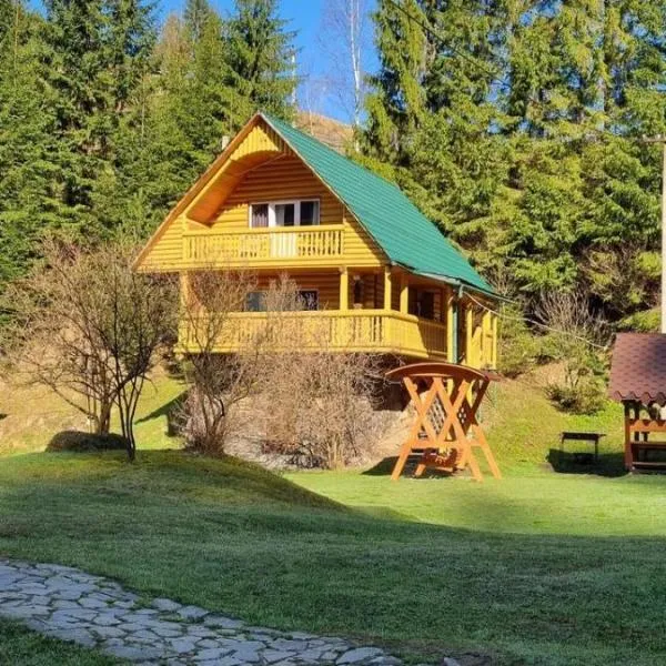 У Віти котедж 1, hotel v destinaci Siněvirská Poljana