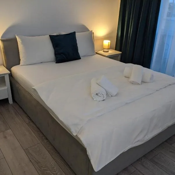 Alina's Deluxe Apartment and free private parking، فندق في Dumbrăviţa