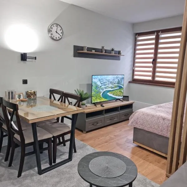 Apartman "PUZZLE" Bela Reka, Brzeće, hotel in Brzeće