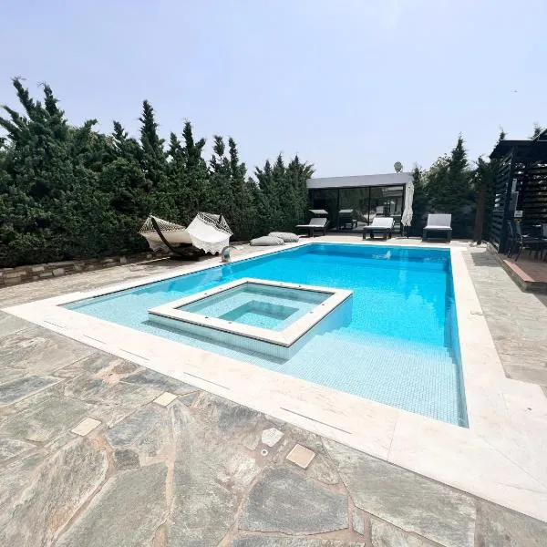 Olivujoj Villajoj - Deluxe Villa with Detached Pool House, hotel di Anavissos