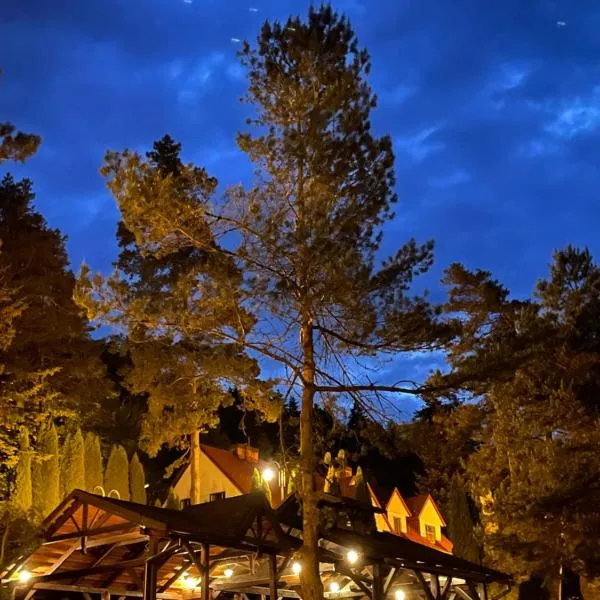 Magurska Ostoja, hotel in Jasło