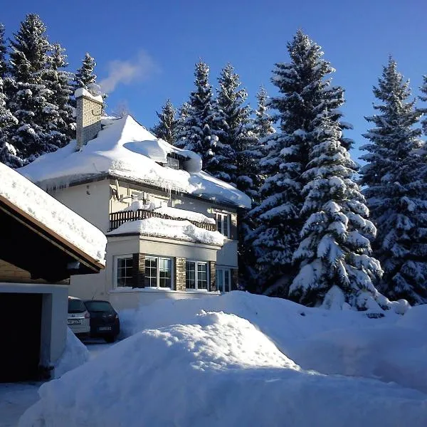 Dame vam pokoj - 4 pokoje se sdilenou kuchyni, kapacita max 9 osob、ハルラホフのホテル