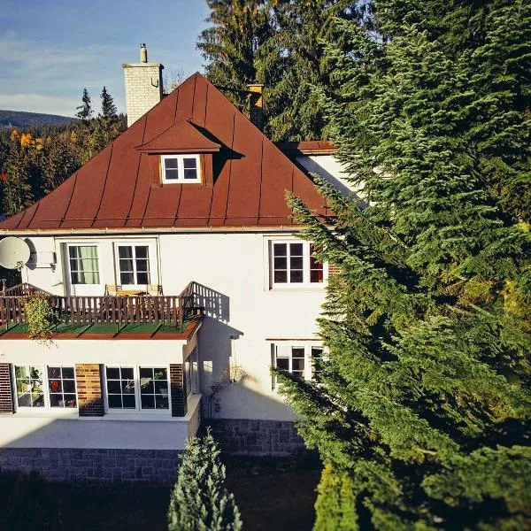 Dame vam pokoj - 4 pokoje se sdilenou kuchyni, kapacita max 9 osob, hotel in Harrachov