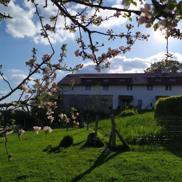 Ekofarma Bílý mrak, hotel in Borohrádek