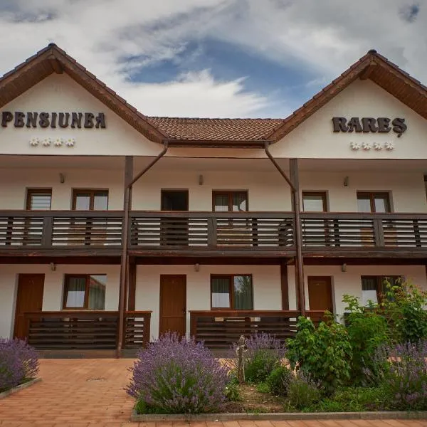 Pensiunea Rares, hotel u gradu Tălpăşeşti
