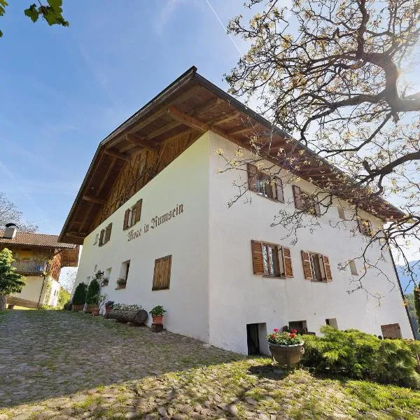 Moar im Rumsein - Apt Etschblick, hotel in Terlano