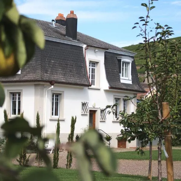 les charmes de la vallée noble, hotel v destinaci Soultzmatt