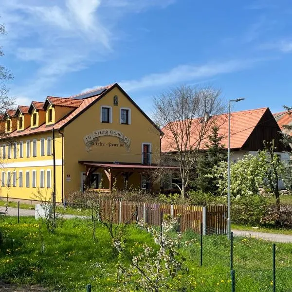 Apart Pension Zelený grunt, hotell i Třebíz