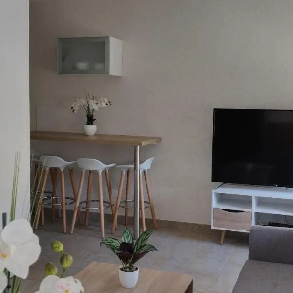 Le Cygne, appartement de standing en hyper-centre, hotel v destinácii Sarreguemines