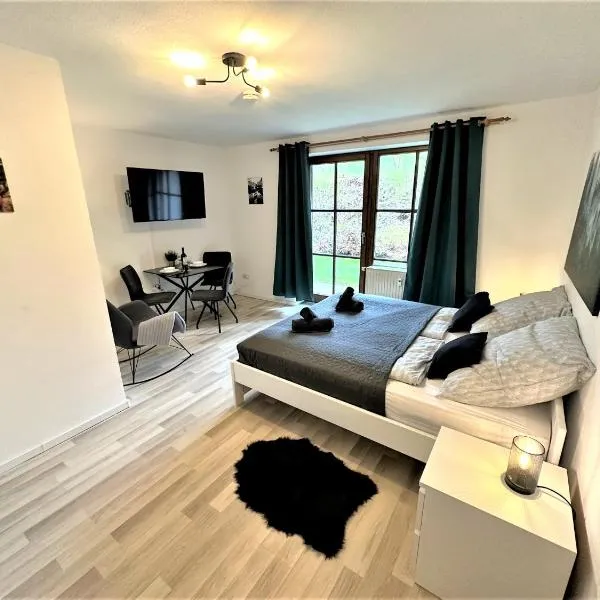 COZY Apartment in Bavarian Forest +POOL +SAUNA +NETFLIX, hotel in Zwiesel
