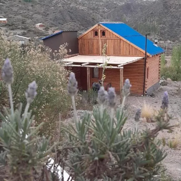 Cabañas Piquillin Potrerillos Mendoza, hotell sihtkohas Potrerillos