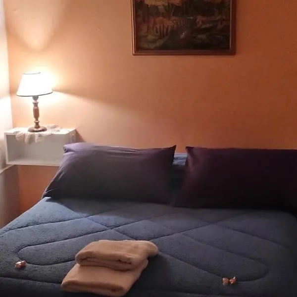 Excelente Departamento en Centro de Neuquén โรงแรมในเนวเก็น