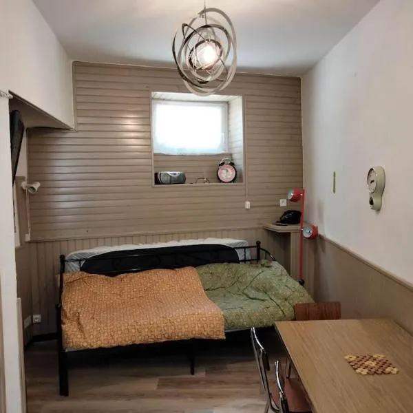 Le nid douillet Vintage, hotel in La Bourboule