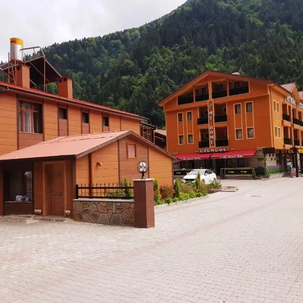 My Home Uzungöl – hotel w mieście Uzungöl