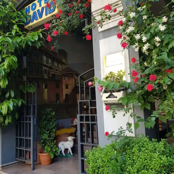 David Hotel - Ethno style, hotel v destinaci Tbilisi City