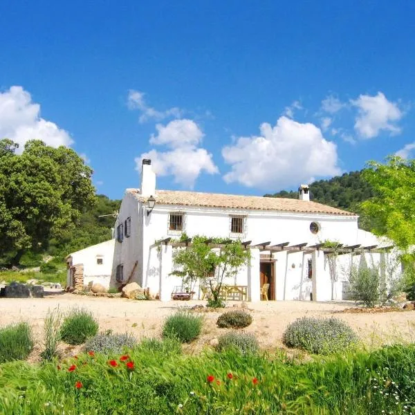 Casas Rurales Cortijo Cerro Fuentes Nuevas, hotel in El Almicerán