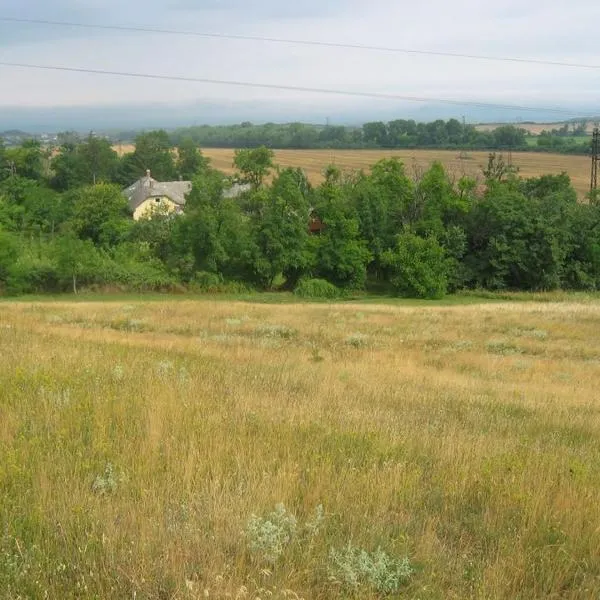 Vincellér Vendégház, hotel v destinaci Királyszentistván