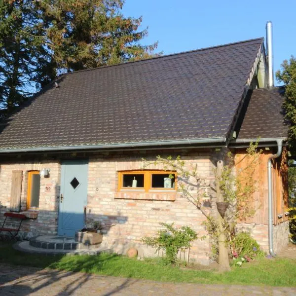Am Rieck - Ferienhaus "GR 1904", готель у місті Цемпін