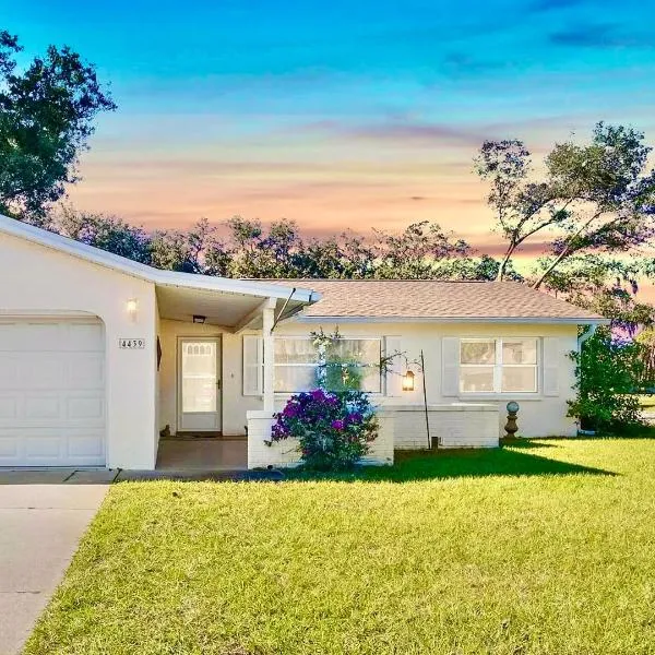 Easy BNB Close to Beaches, Billiard,Ping-Pong Table, Lanai, Fire Pit, BBQ, Patio, Back Yard, hotel in New Port Richey