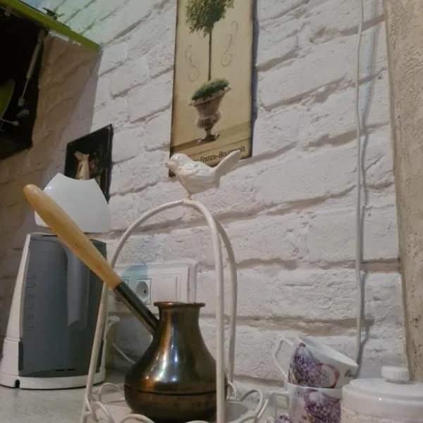 Cozy Compact Flat in the City Center, khách sạn ở Lviv