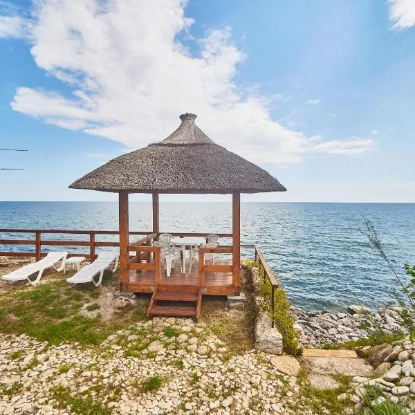 Уютный коттедж дача на берегу Моря, hotel in Nova Dofinivka