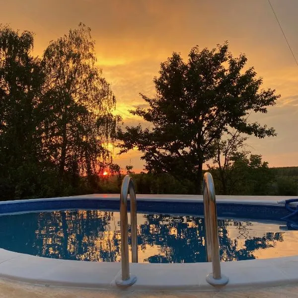 Predivna kuća na Dunavu, hotel i Krčedin