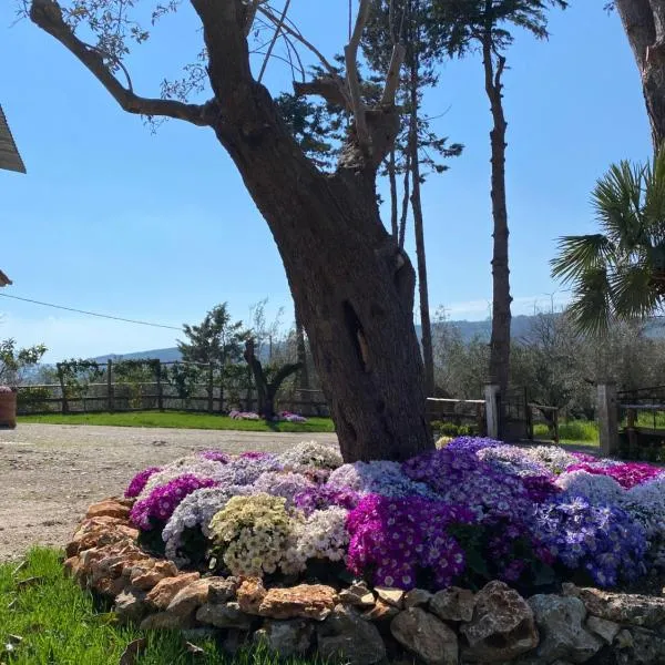 Casa Vacanza Capozzoli, hotel v destinácii Albanella