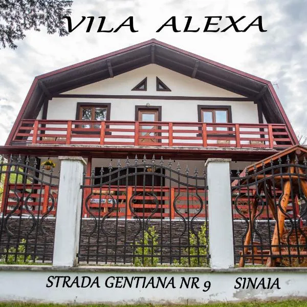 Casa Alexa, hotel v destinaci Sinaia