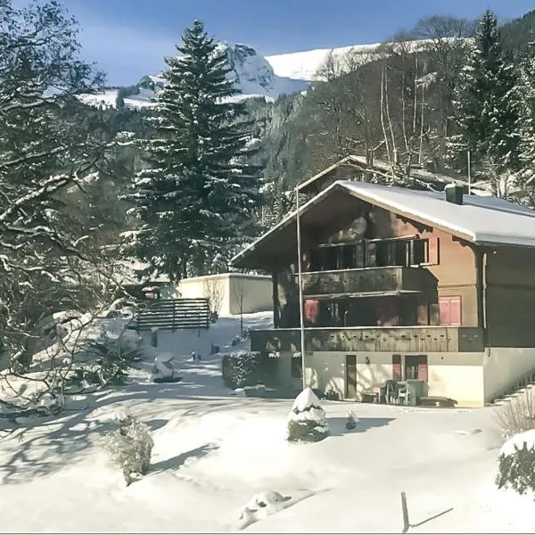 Bussalp Apartment - Aare Jungfrau AG、グリンデルワルトのホテル