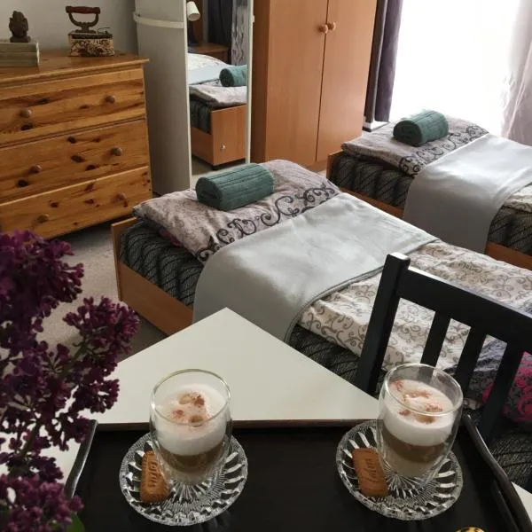 Willa Ewa, hotel in Busko-Zdrój