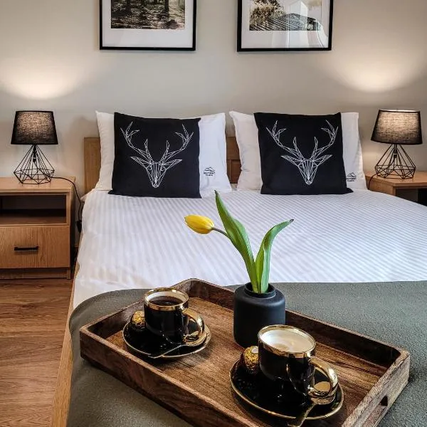 Noclegi Rezydent Polańczyk, hotel Polańczykban