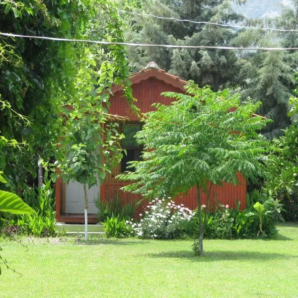 Alibaba Pension, hotel in Cıralı