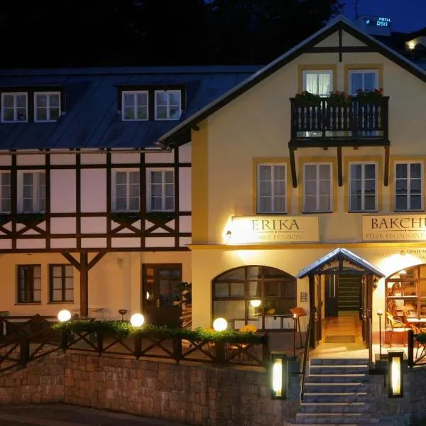 Hotel Erika, hotel in Špindlerův Mlýn