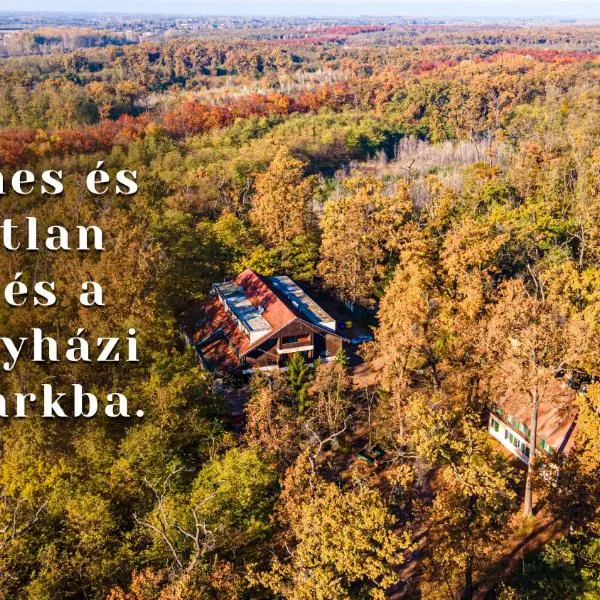 Ózoon Hotel, viešbutis mieste Nyredhaza